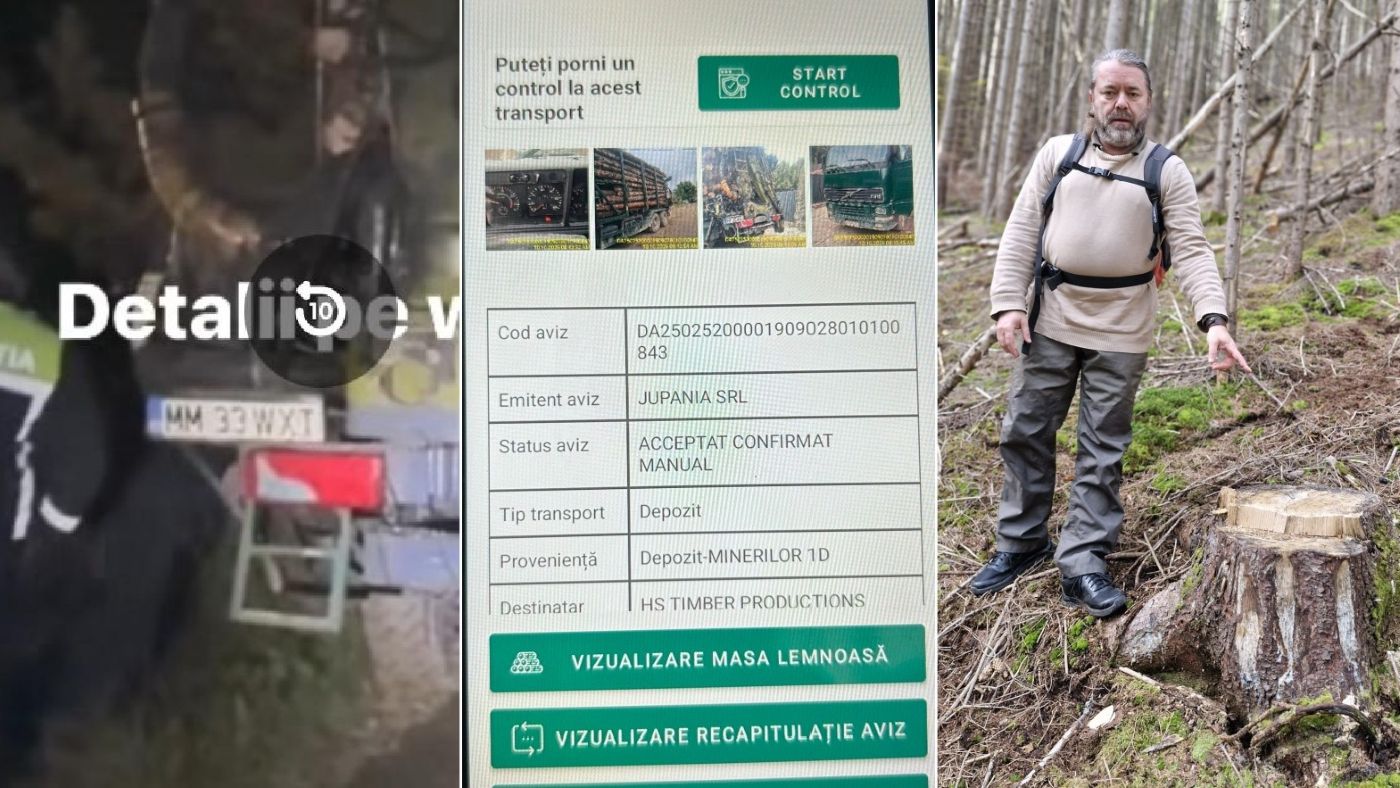 Camion care transporta lemn pentru Schweighoifer, confiscat de la Clanul Cofenilor. Mihai Goțiu (România Curată), investigații pe teren