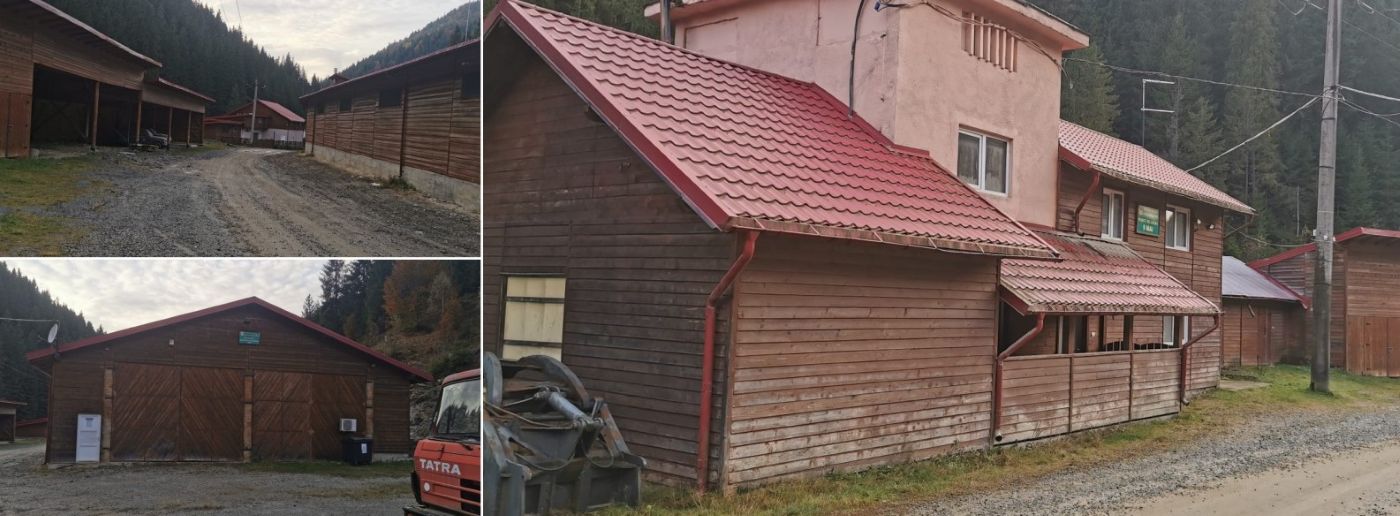 Cătunul Cisla, Maramureș, Frank Timiș