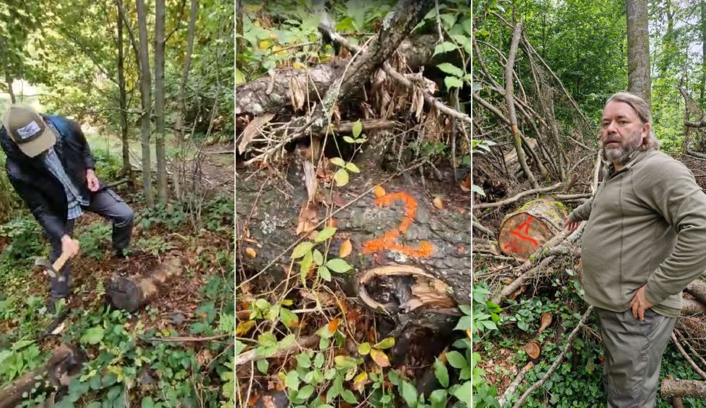 Garda Forestieră Cluj confirmă tăierile ilegale și furturile investigate de România Curată (Mihai Goțiu) și Asociația Valori Superioare