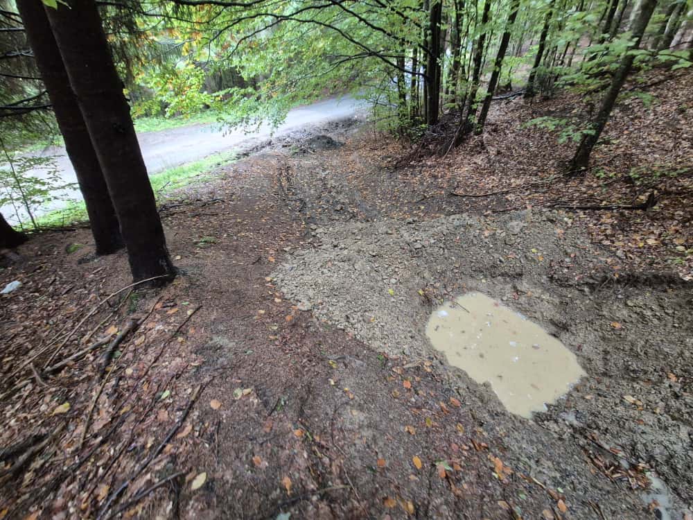 Gropi în drumurile din pădurile Maramureșului