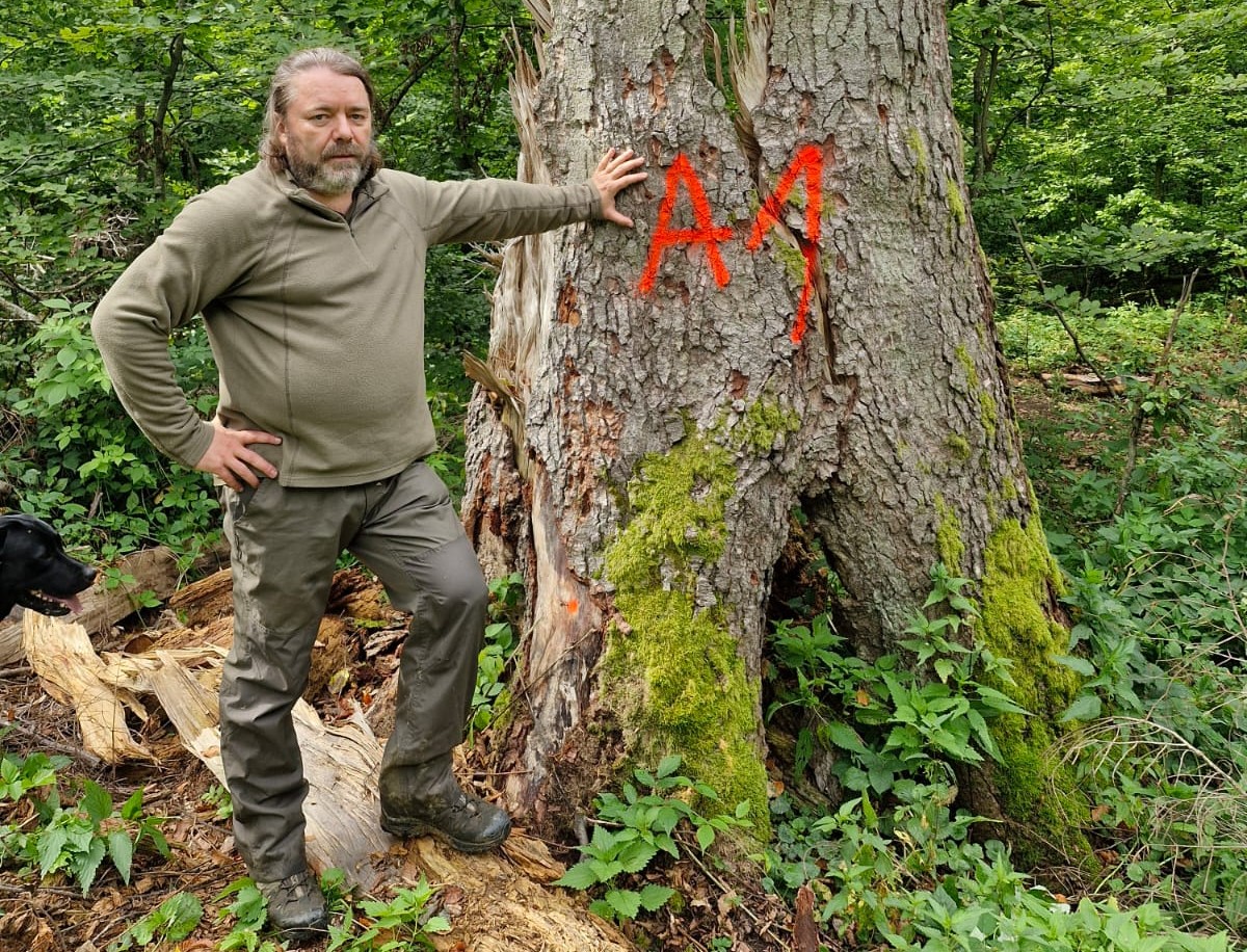 Mihai Goțiu, pe urmele hoților de lemne din pădurile virgine din Maramureș, incluse în UNESCO.