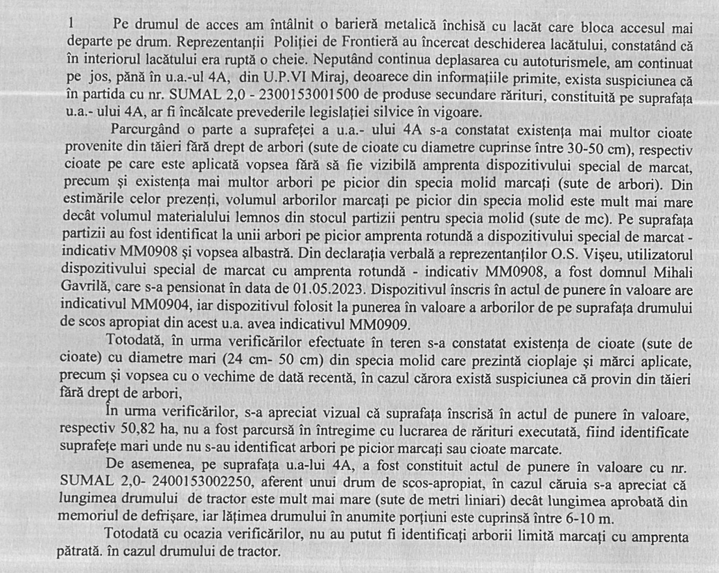 Fragment din nota de constatare a Gărzii Forestiere Oradea. Sute de cioate de arbori tăiați fără drept, suspiciuni pentru alte sute
