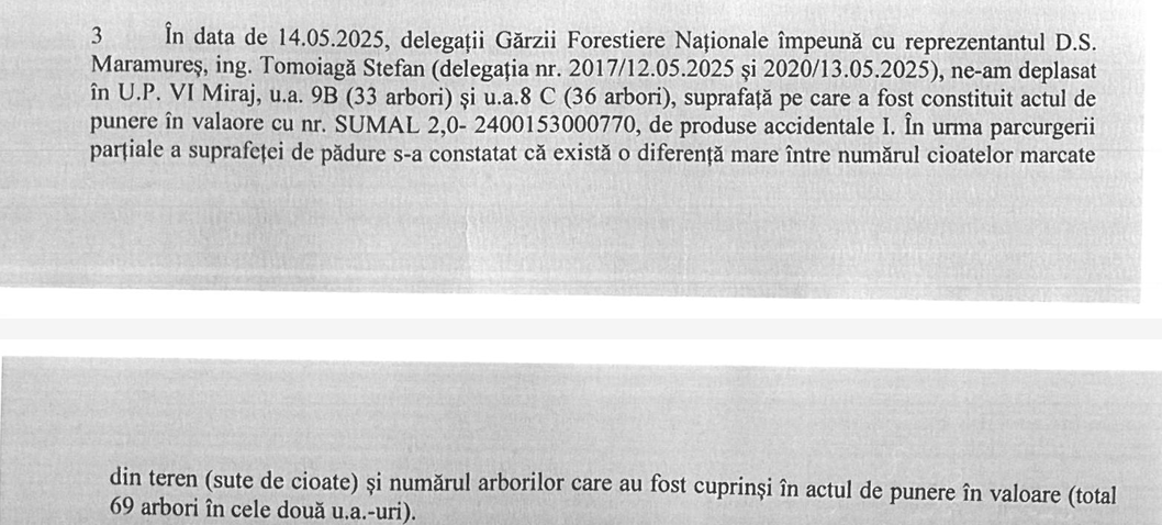 Fragment nota de constatare, Garda Forestieră Oradea, sute de arbori marcați în plus, OS Vișeu