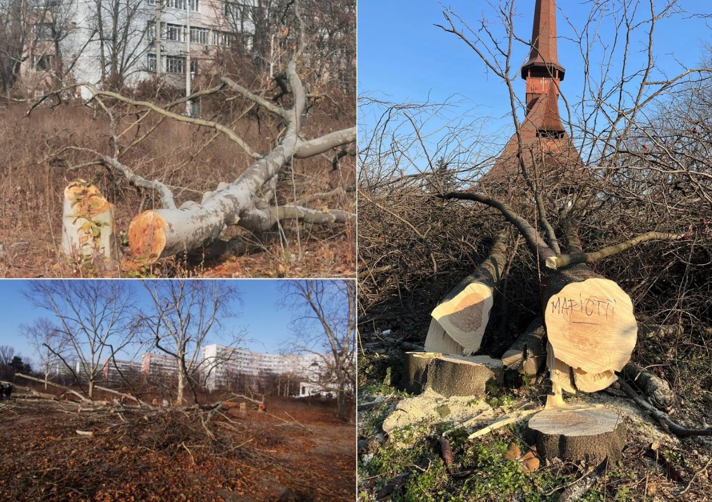 Parcul IOR, distrus de mafioți