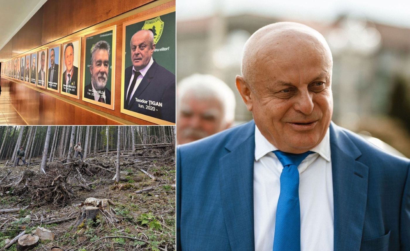 Teodor Țigan, director Romsilva, sesizare penală, Corpuld e Control al Ministerului Mediului