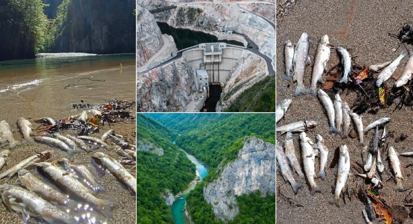 Neretva river, Ulog hidropower dam, ecocid