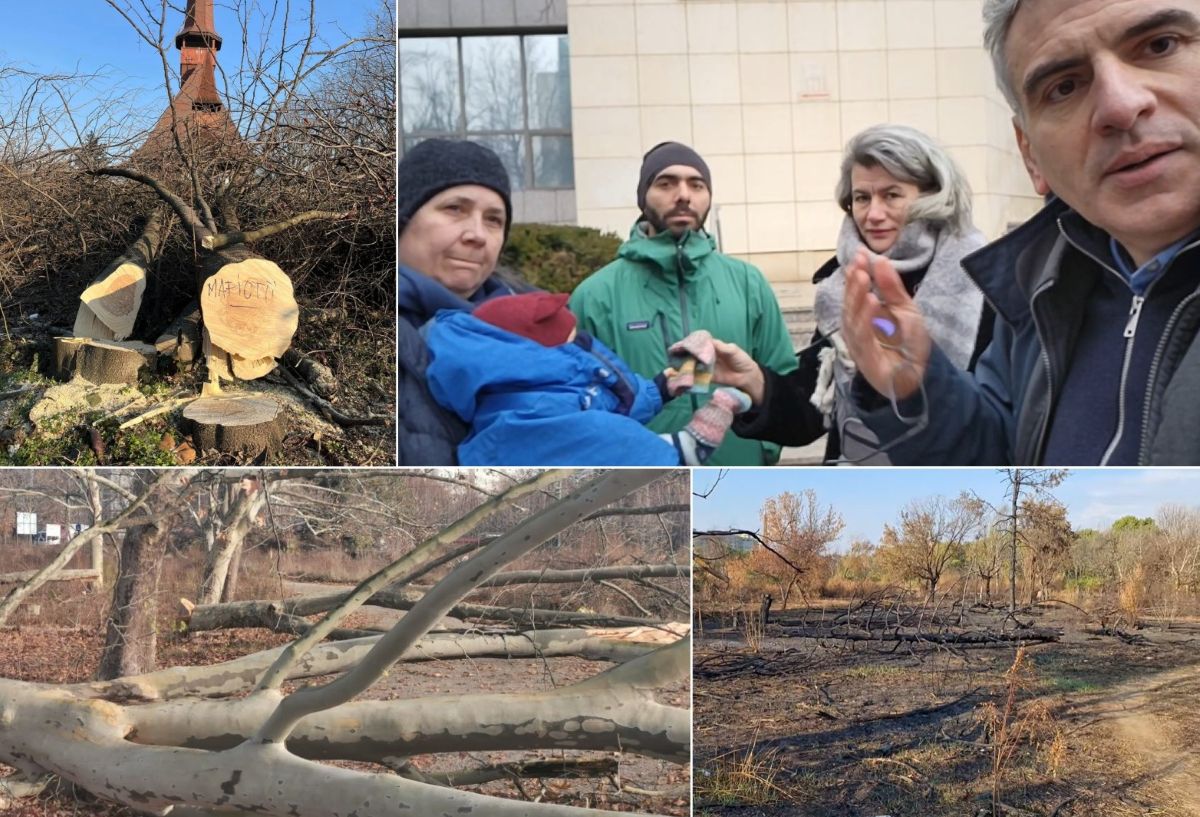 Distrugeri și proces pentru IOR