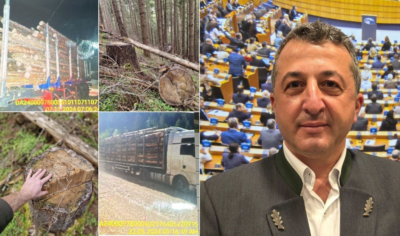 Vișan Vor Zakone Schwwighofer HS Timber Vișeu