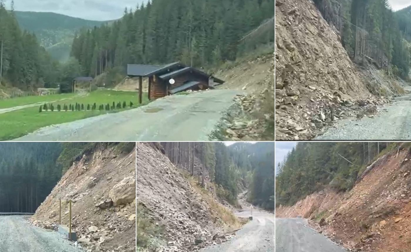 Drumul Catarama, Mafia Lemnului, Clanul Cofenilor, Romsilva