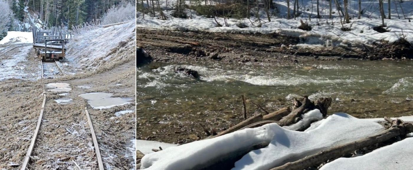 Mocănița Valea Vaserului, traversare prin albie, Romsilva, OS Vișeu, Vor Zakone