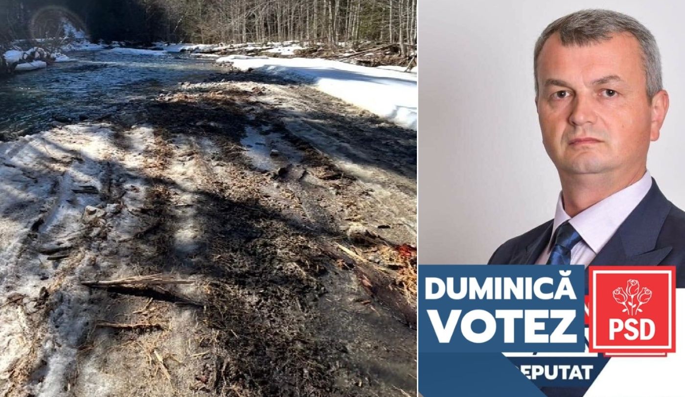 Vasile Nicolaie Vlad, șef Ocol Silvic Vișeu, Romsilva, și râul Vaser distrus de Mafia Lemnului pe care o protejează