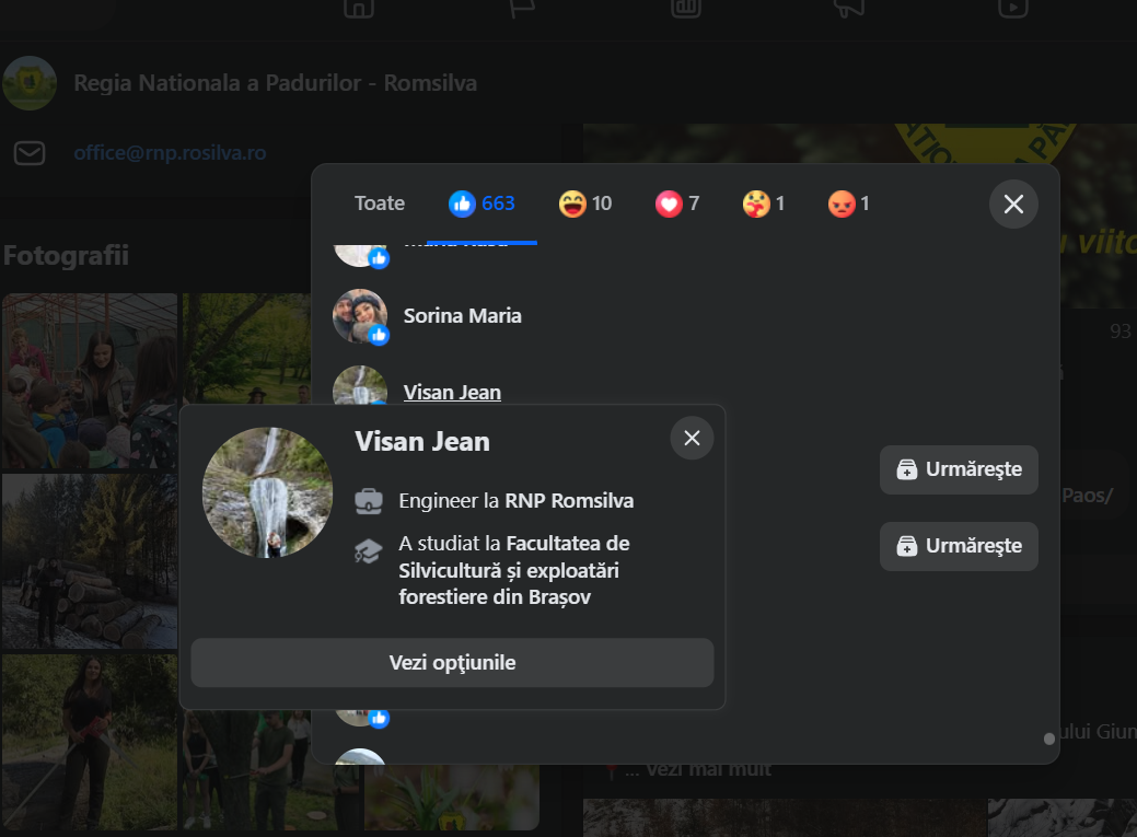 Romsilva like Romsilva. Jean Vișan