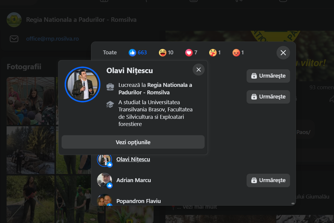 Romsilva like Romsilva. Olavi Nițescu
