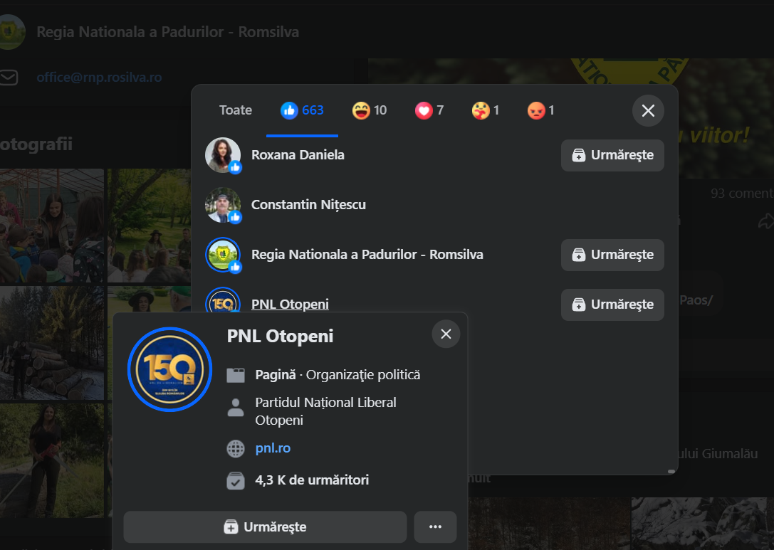 Romsilva like Romsilva. PNL Otopeni