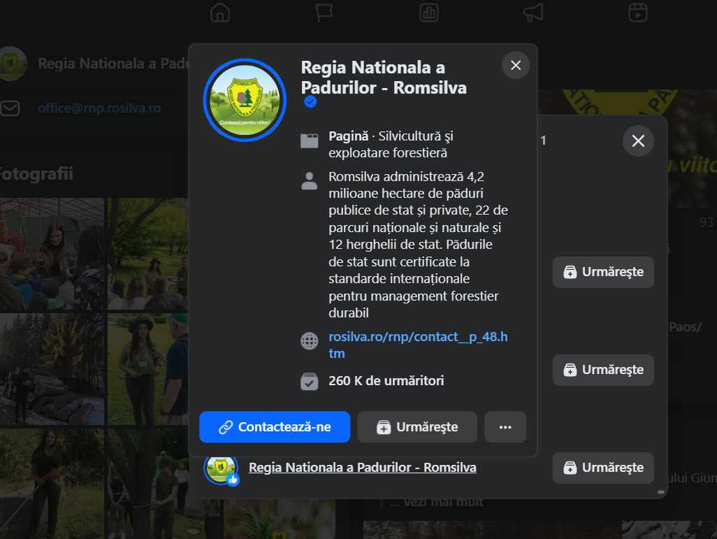 Romsilva like Romsilva.