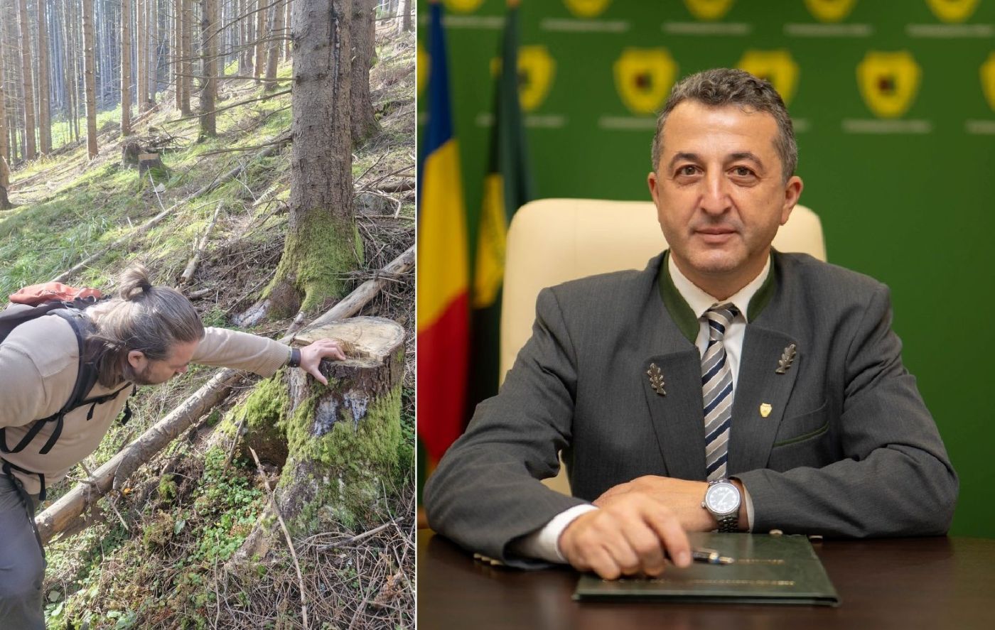 Mihai Goțiu, România Curată, Verde Curat, Jean Vișan, Romsilva