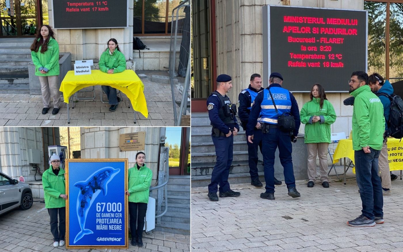Protest Greenpeace România, Ministerul Mediului, Marea Neagră, Neptun Deep