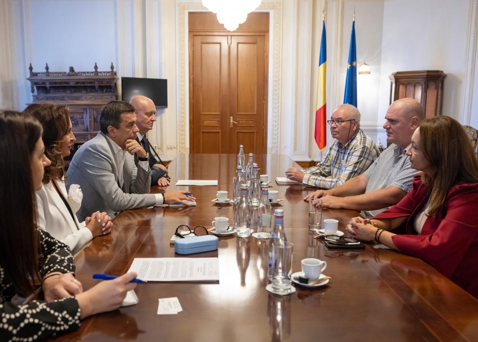 Sorin Grindeanu, Natalia Intotero, Anca Suciu, Ilie Toma, Euro Sun Mining, Rovina