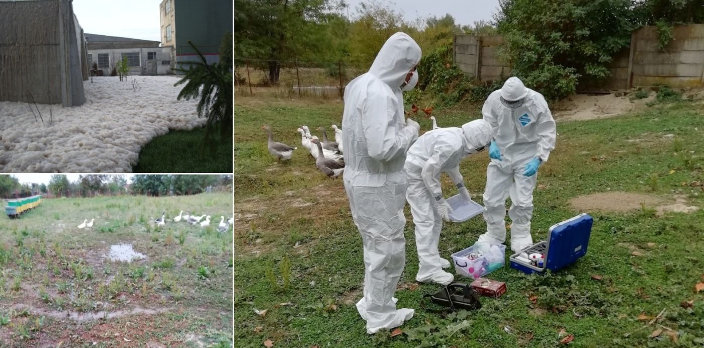 Contaminare Agricola Bacău
