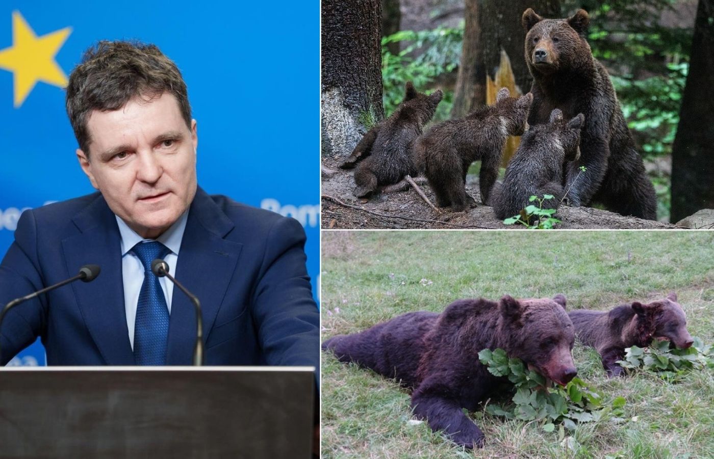 Nicușor Dan, Sesizare CCR, vânarea urșilor