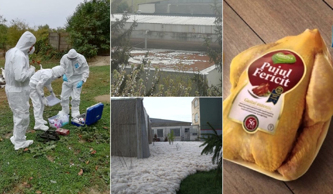 Puiul fericit Agricola Bacău își face nefericiți vecinii
