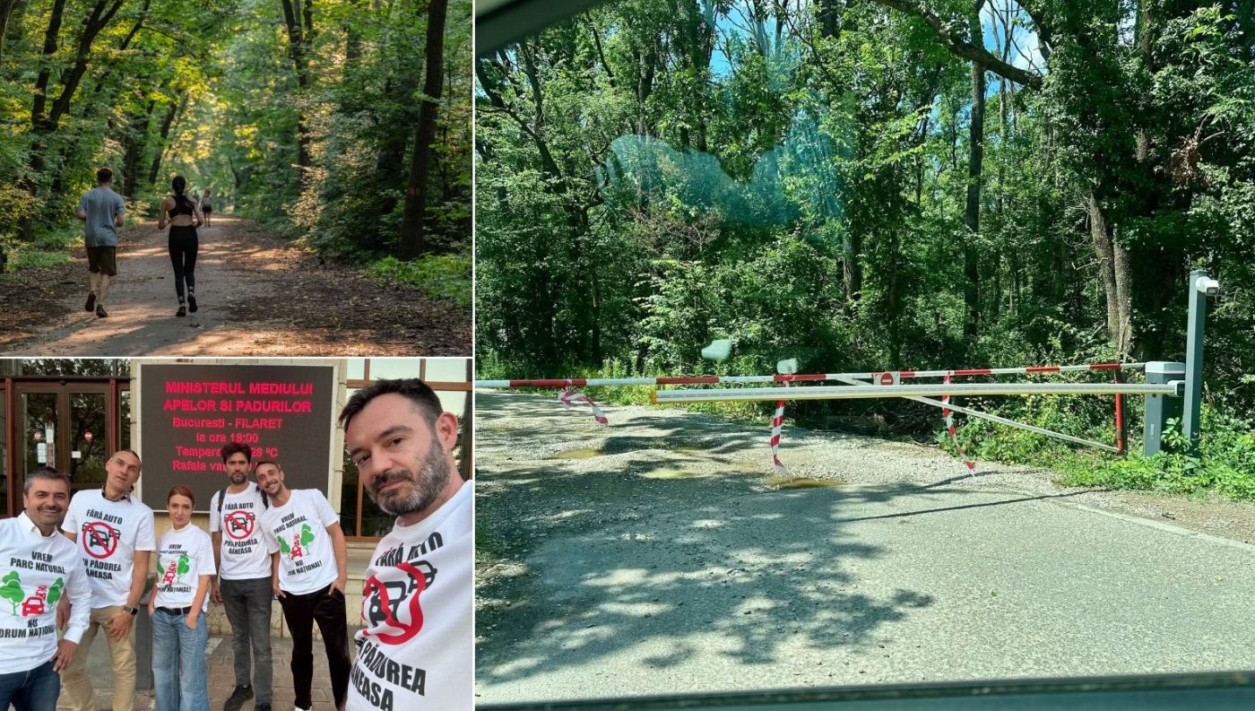 Barieră și mobilizare civică pentru interzicerea circulației auto pe drumurile forestiere din Pădurea Băneasa