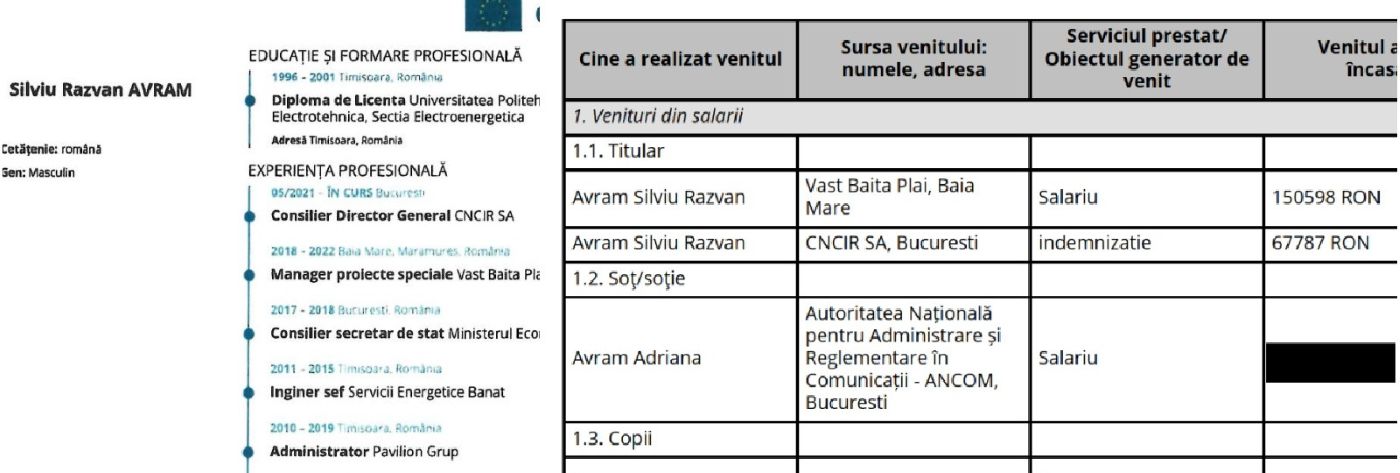 CV venituri Silviu Răzvan Avram
