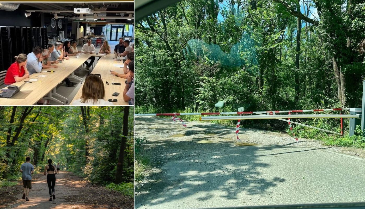 Întâlnire Federația Greenfield Băneasa; barieră drum forestier