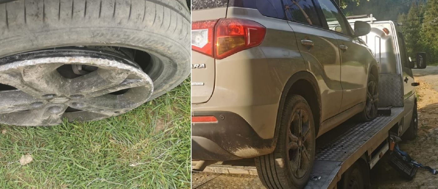 Suzuki pe jantă pe în pădurile Mafiei Lemnului