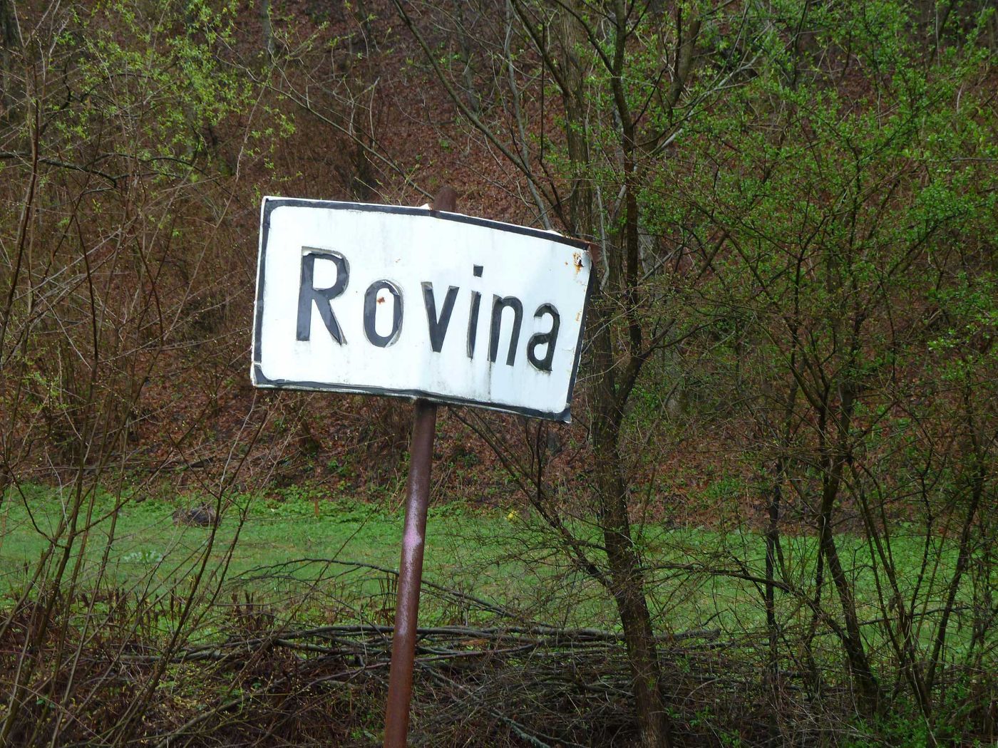Rovina