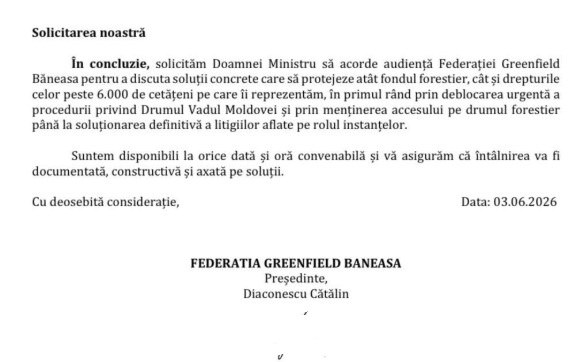 Solicitare audiență Diana Buzoianu, Federația Greenfield