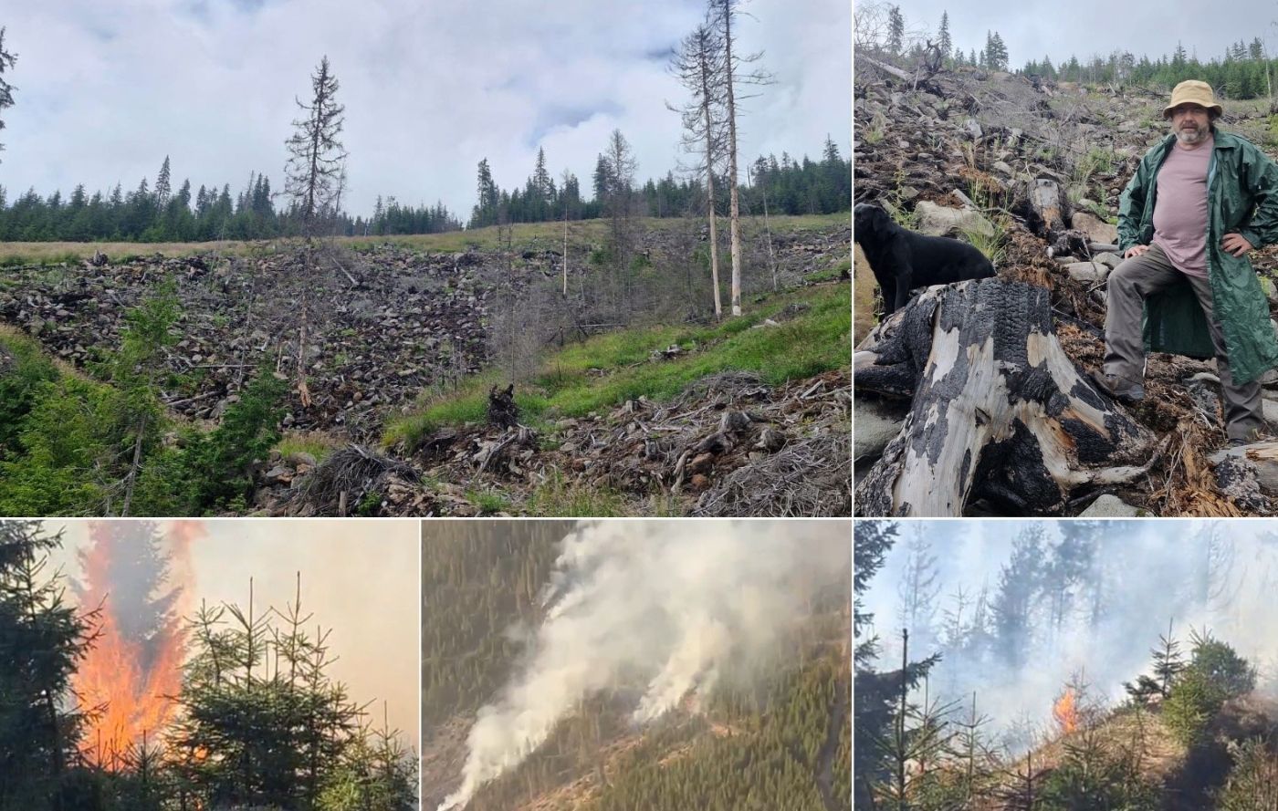 Incendiu Gurghiu Mihai Goțiu
