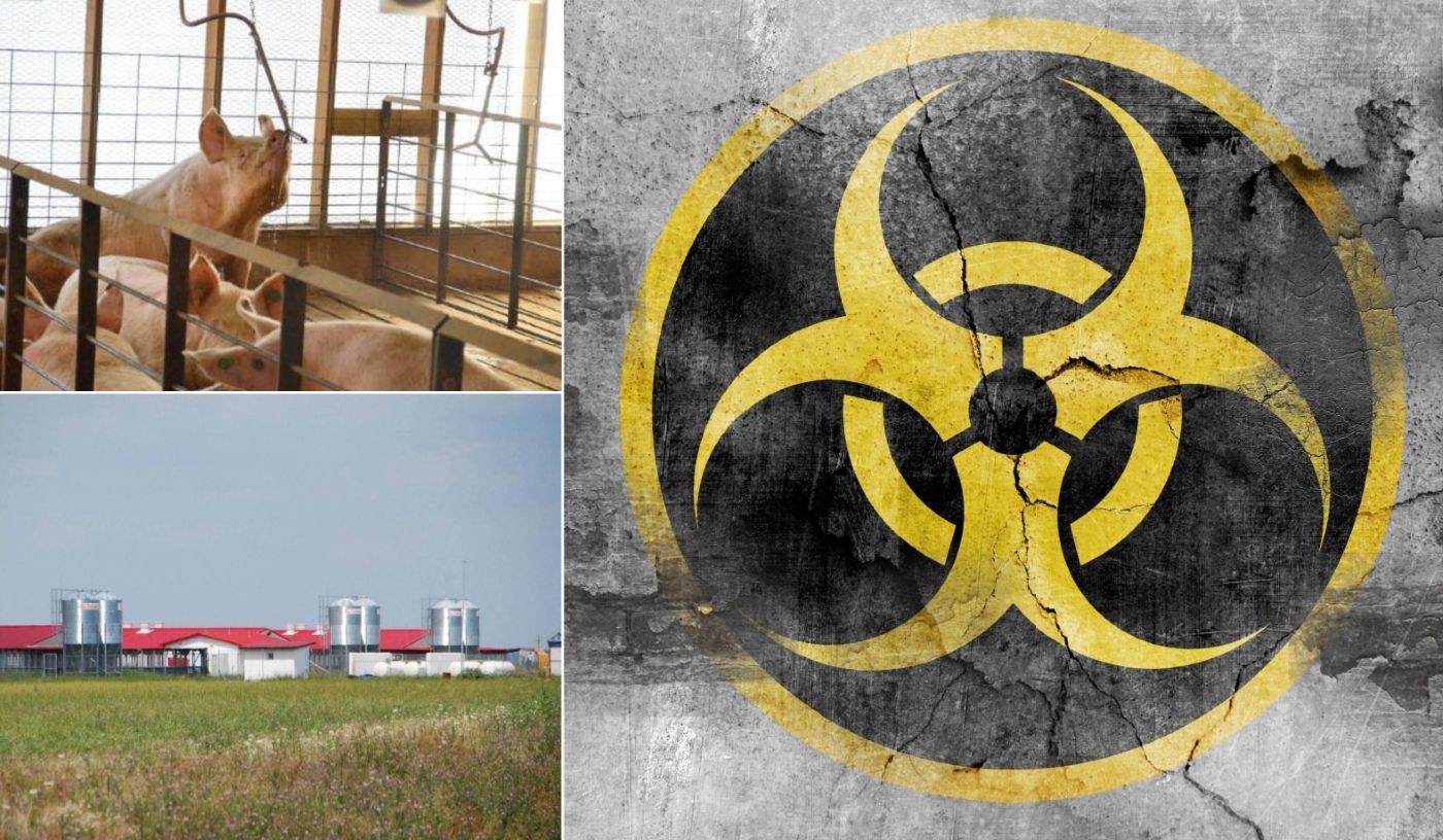 Smithfield Comtim Biohazard