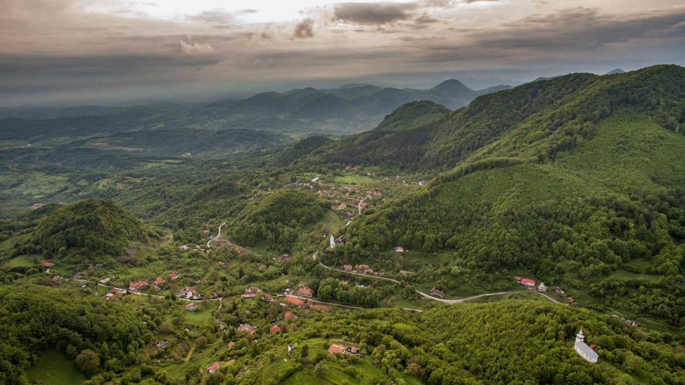 Certej, Certeju de Sus, păduri, Mining Watch