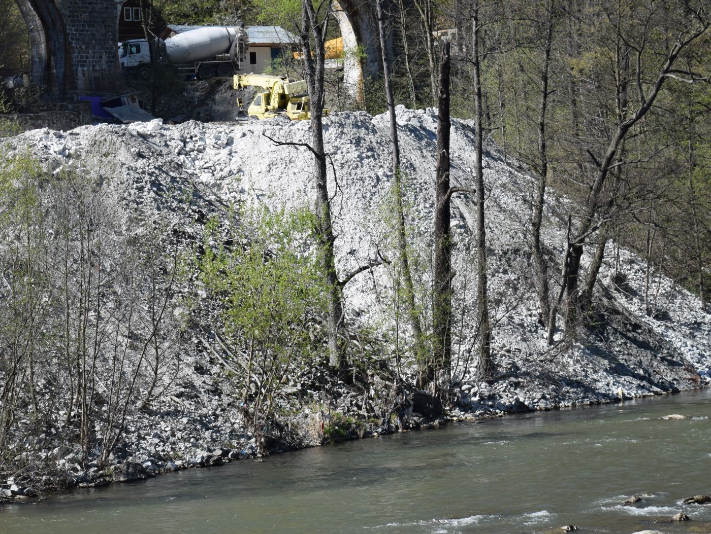 Habitat 91E0 (păduri de luncă, zăvoaie sau arinișuri), de interes comunitar prioritar în rețeaua Natura 2000, distrus în timpul lucrărilor din Parcul Național Defileul Jiului. Foto: Călin Dejeu