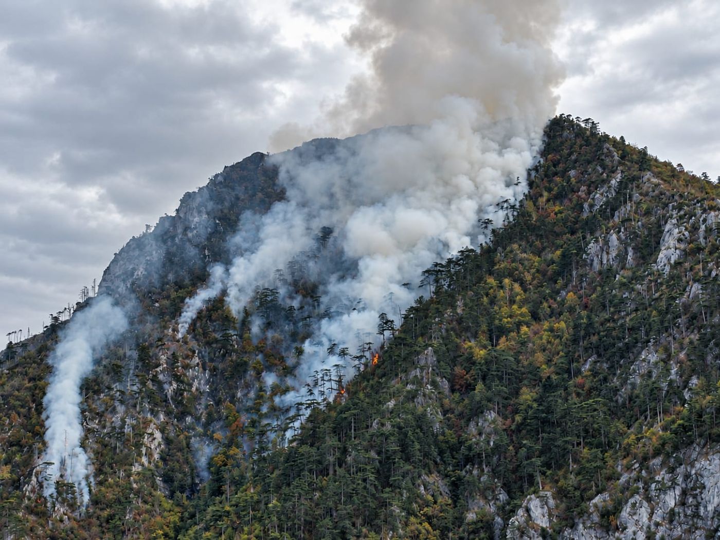 Incendiu în Parcul Național Domogled Valea Cernei