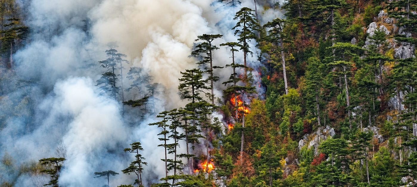 Incendiu în Parcul Național Domogled Valea Cernei 3