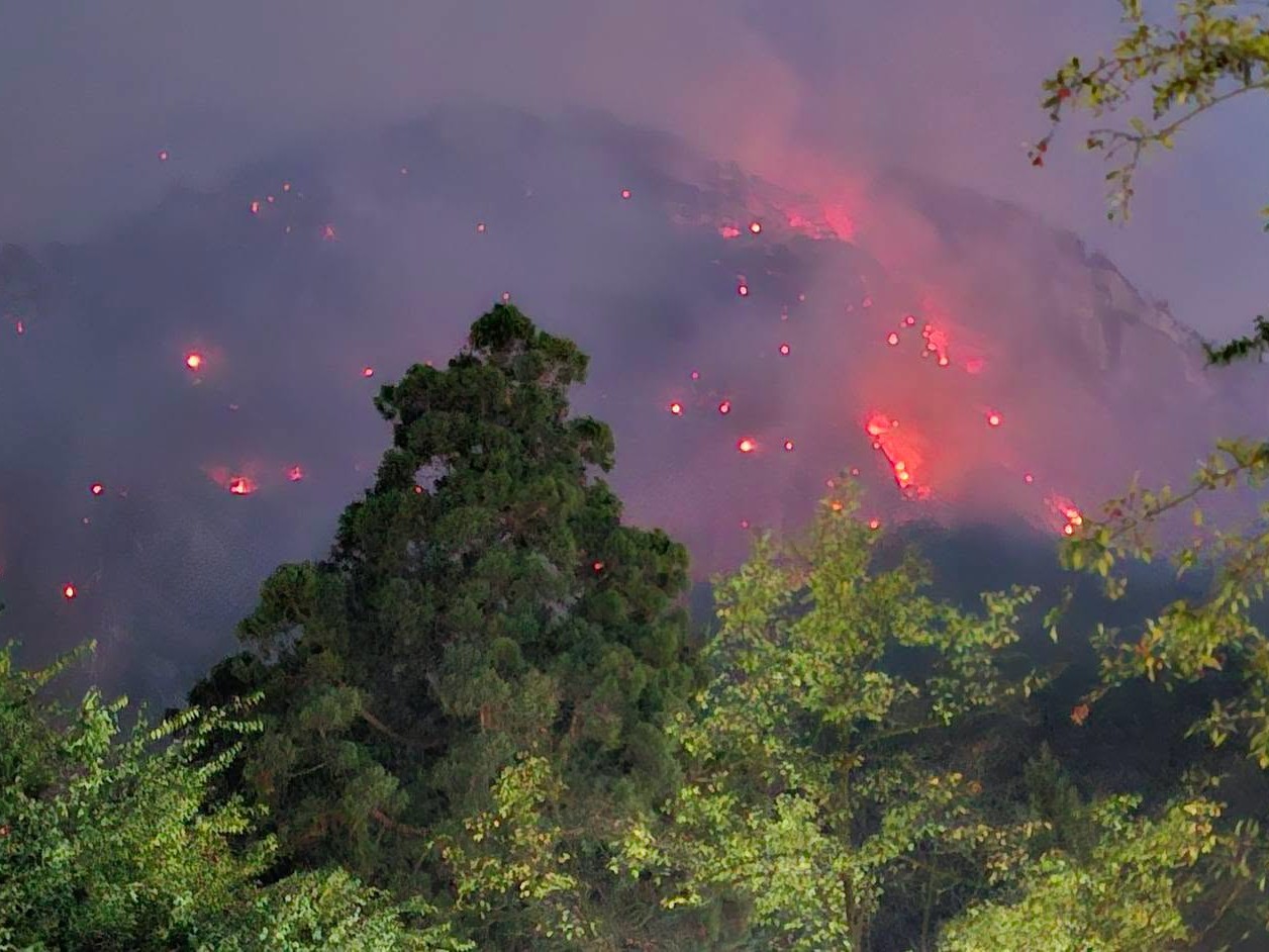Incendiu Parcul Național Domogled Valea Cernei. Foto: Agent Green