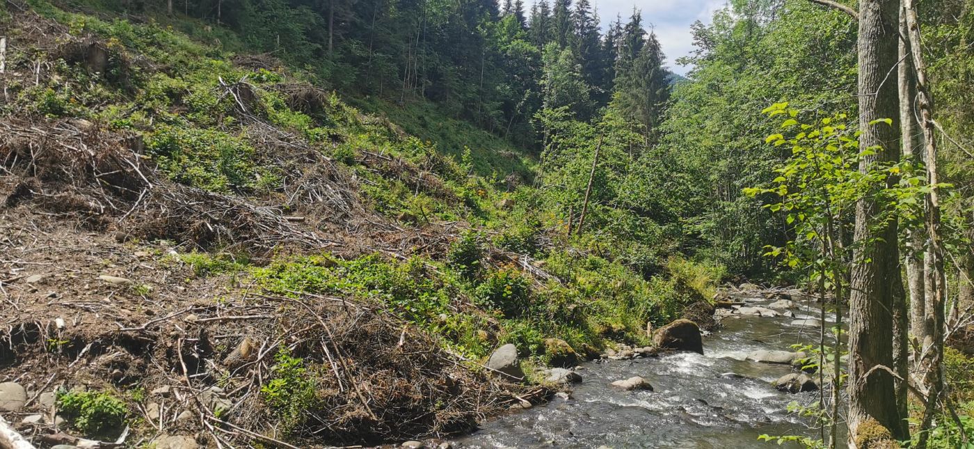 Defrișări începute la Răstolița, în zona în care ar urma să fie coada lacului de acumulare: Foto: Mihai Goțiu