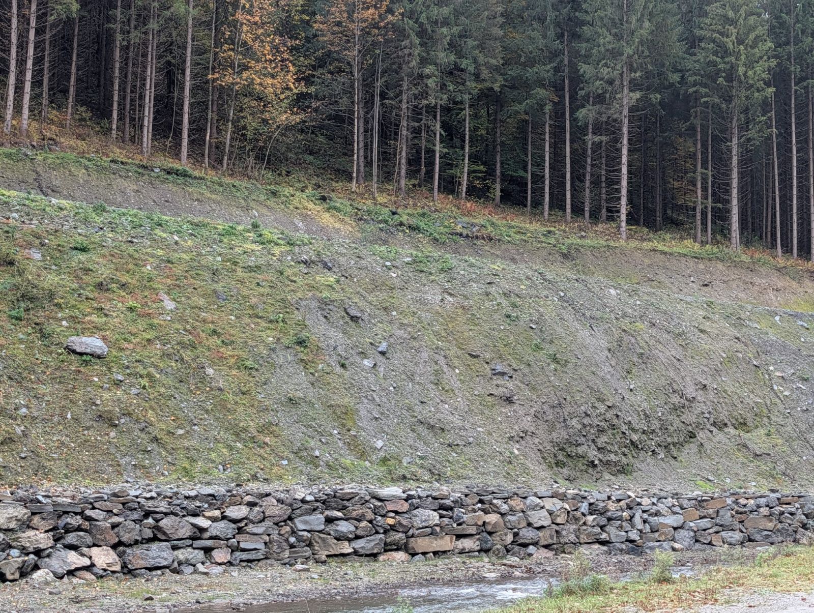 Înainte de a se reface toate podurile distruse de pe Negrișoara, s-a reparat drumul forestier