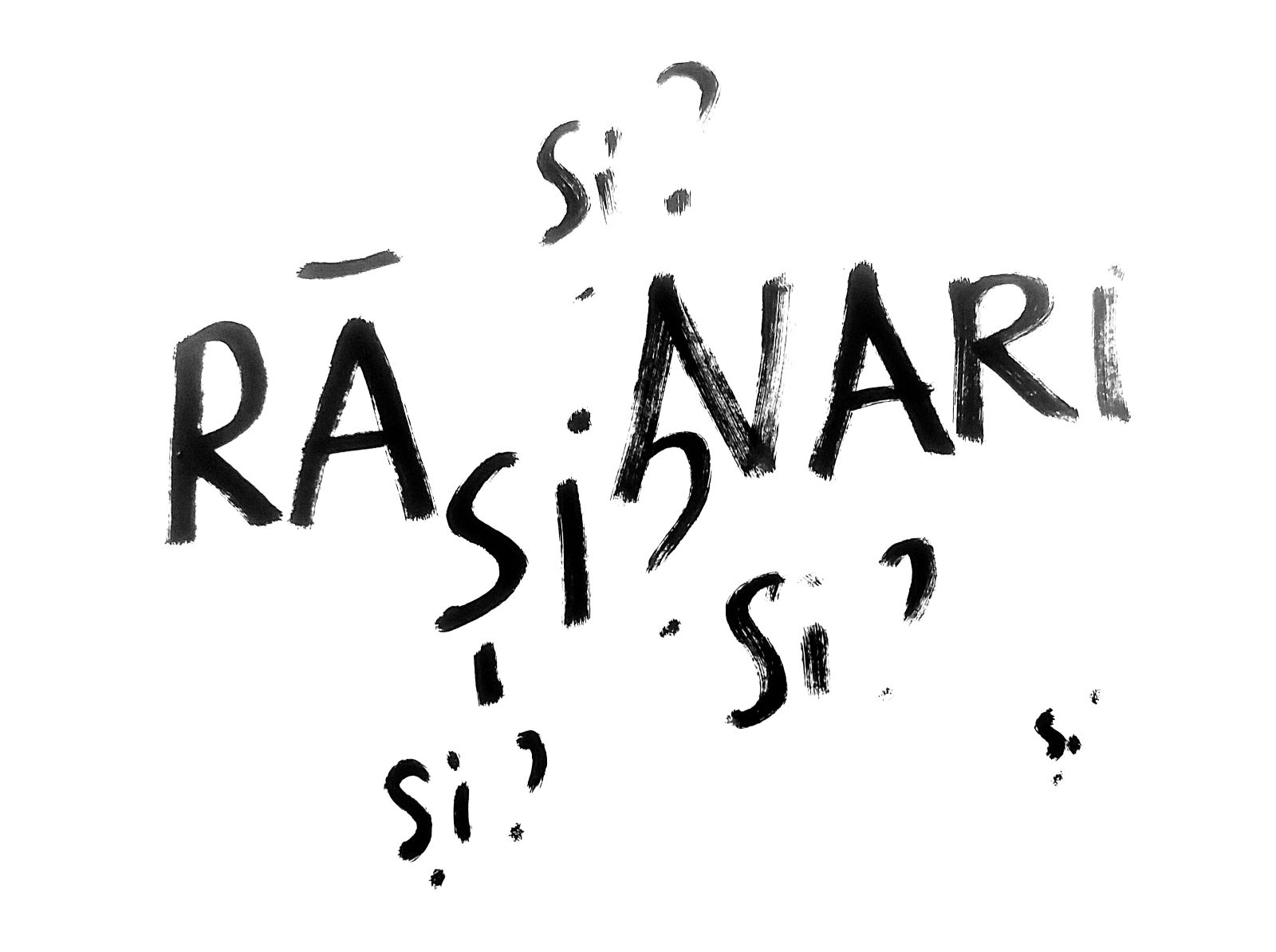 Dan Perjovschi, Perjo. Rășinari