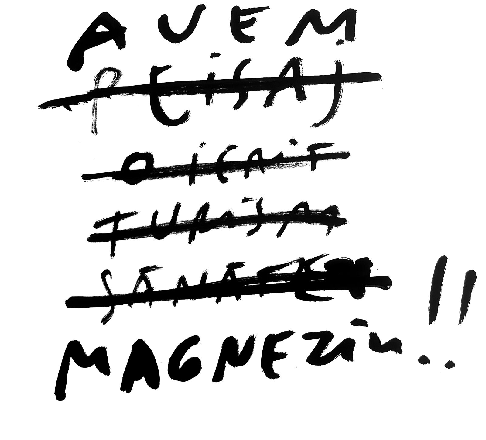 Dan Perjovschi. Perjo. Rășinari 2