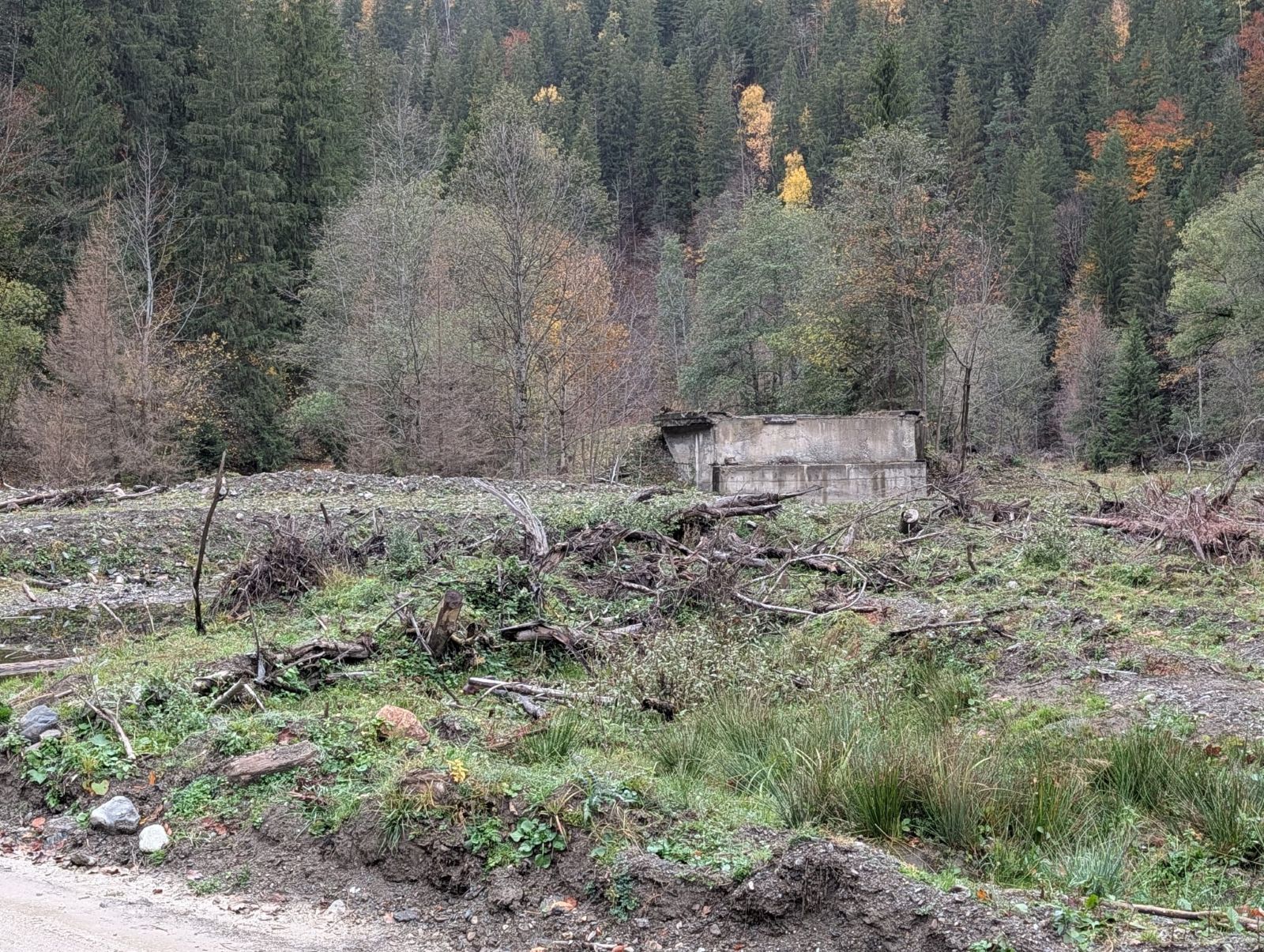 Dintr-un fost pod peste Negrișoara a mai rămas doar o bucată de picior, pe mal